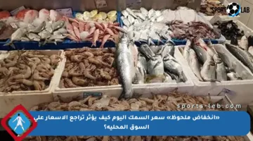 «انخفاض ملحوظ» سعر السمك اليوم كيف يؤثر تراجع الأسعار على السوق المحلية؟